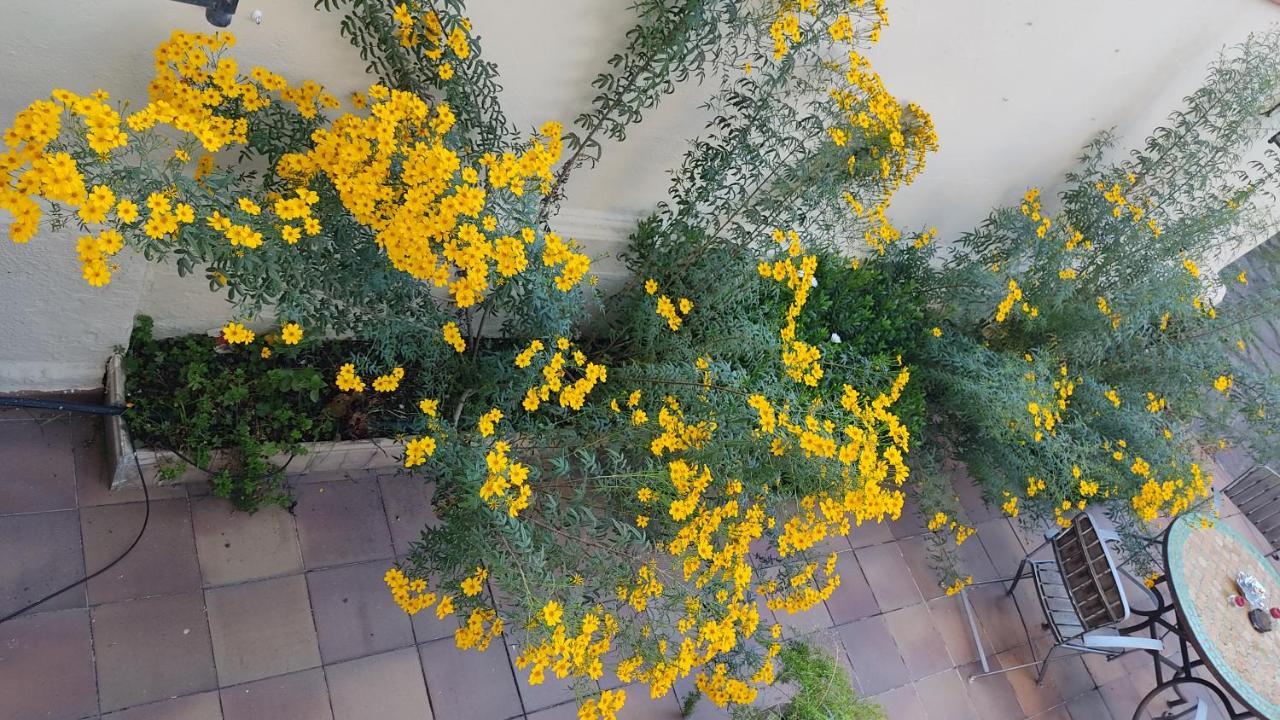 Casa Mo Apartman Sabadell Kültér fotó