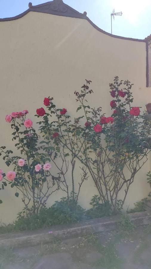 Casa Mo Apartman Sabadell Kültér fotó